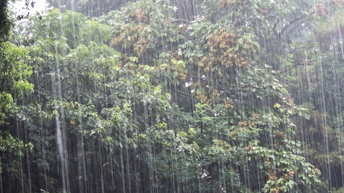 強力防水バッグでツーリングの雨対策 荷物が濡れる心配ゼロ バイクサップ